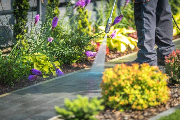 Best Sidewalk and Walkway Cleaning  in John Day, OR